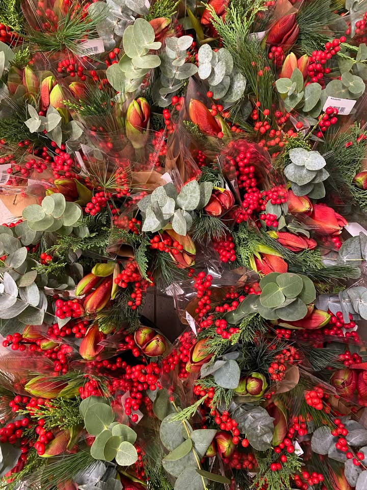 Min Købmand i Asp tilbyder amaryllis buketter med grønt til kun 69 kr