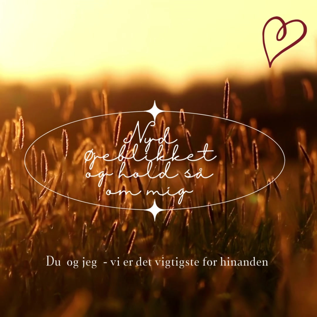 Hold trit med lokalområdet: Nyt fra Skive