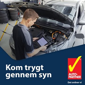 opslagsbillede