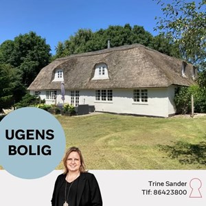 Opslagsbillede