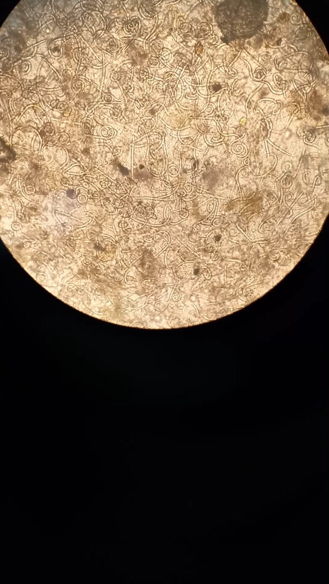 Hold dig ajour med dagens opdateringer fra Hjørring