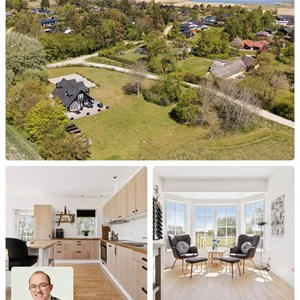 Opslagsbillede
