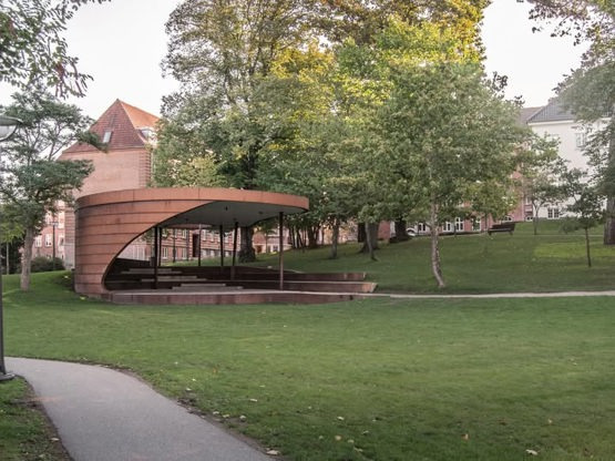 Guidet trævandring i Vejle: Lær byens træarter at kende