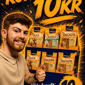 Opslagsbillede