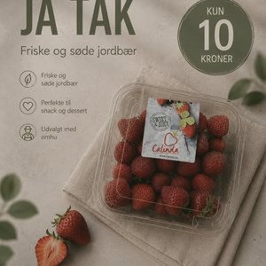 Opslagsbillede