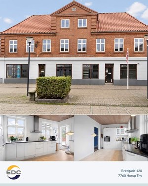 opslagsbillede