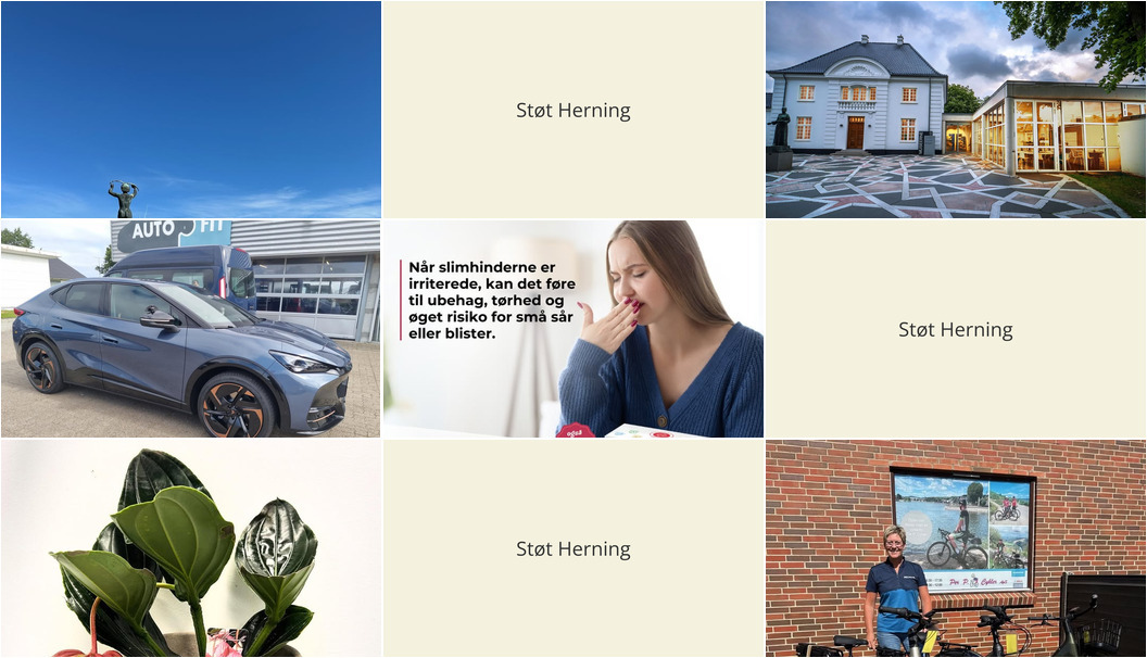 Nyt fra Museerne i Holstebro, Herning Løve Apotek, Operaen i Midten og 3 andre