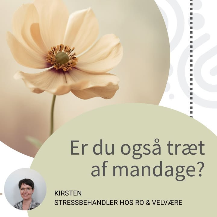 Ro og velvære introducerer ny tilgang til stressfri hverdag næste uge