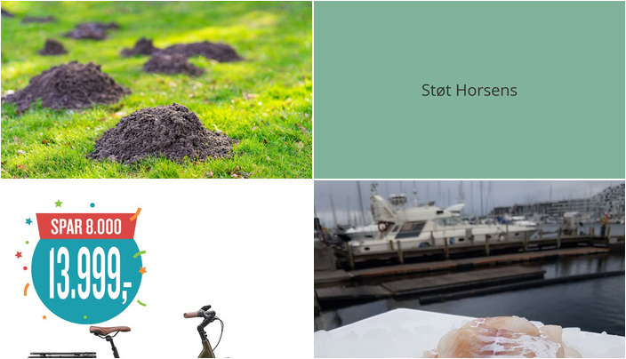 Nyt fra Beringsslagteren ApS, Horsens golfklub og Horsens Cykler