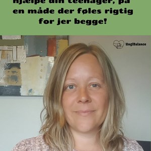 opslagsbillede