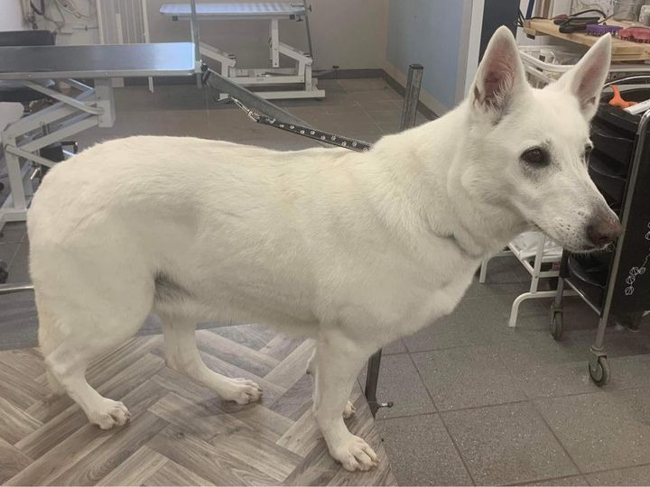 Se dagens updates fra Sæby her