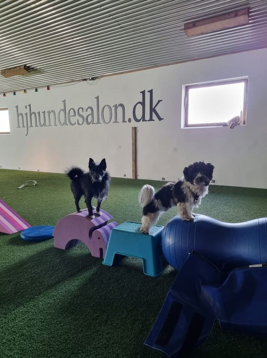 Hold dig ajour med dagens opdateringer fra Sæby