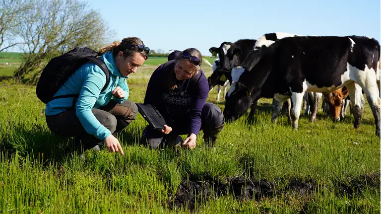 Vådområdeprojekt i Thy styrker biodiversitet og reducerer kvælstofudledning