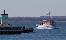 Oplev Hirsholmenes fugleliv med Seadog