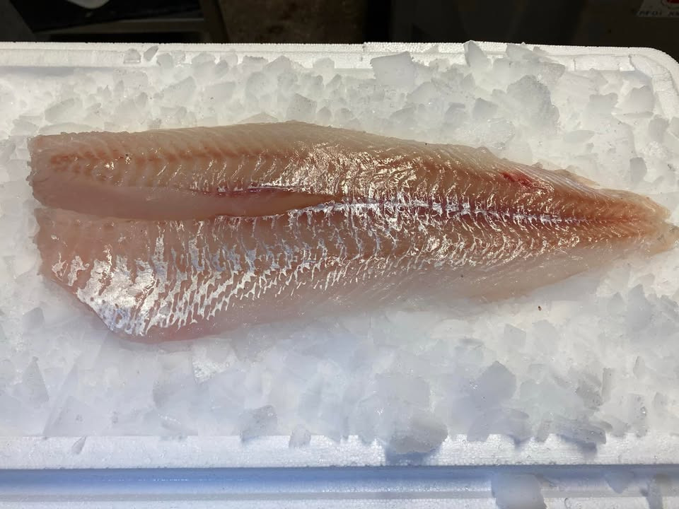 Hanstholm Auction Buyer tilbyder nye priser og ugens fisk med gratis levering