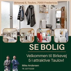 Opslagsbillede