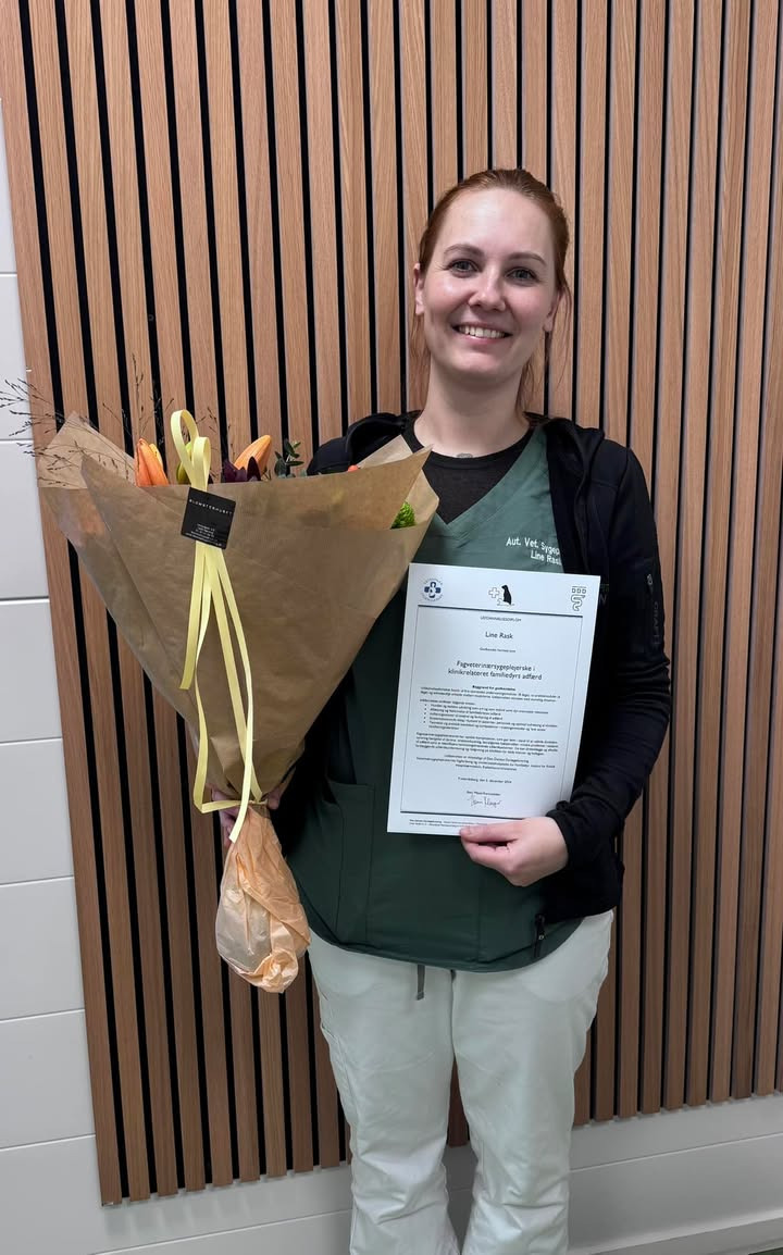 Dyrehospitalet Heden ApS byder velkommen til ny fagveterinærsygeplejerske i adfærdsbehandling