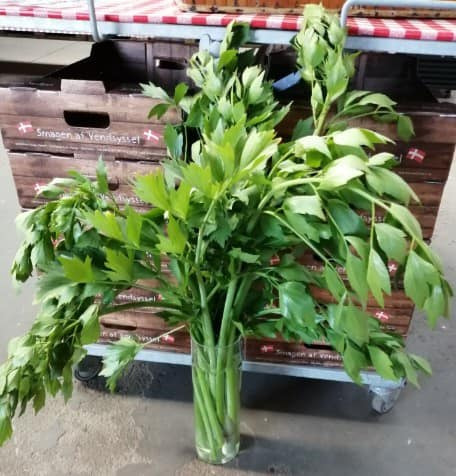 Se dagens updates fra Sæby her