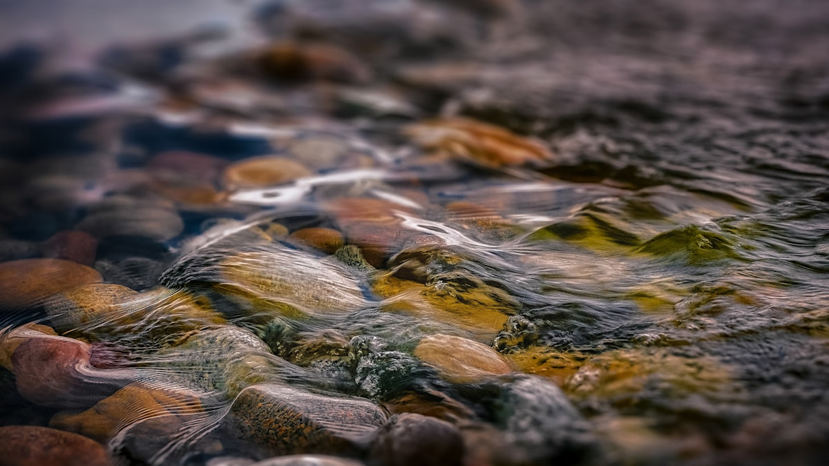 Oplev Bach's musikalske og teologiske verden med Knud Svendsen