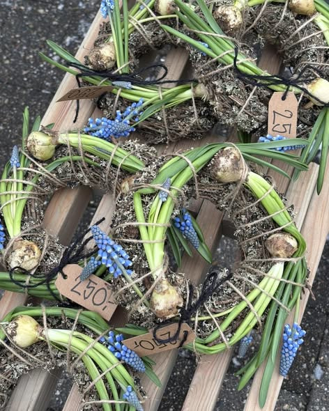 Tulipa Blomster & Havedesign inviterer til forårsstemning med løg og kranse