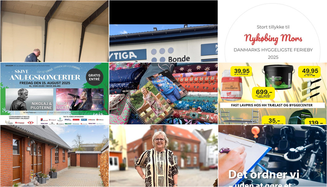 Nyt fra HH Trælast & Byggecenter A/S, BONDE MASKINER, Skive Kloak & Miljøservice  og 8 andre