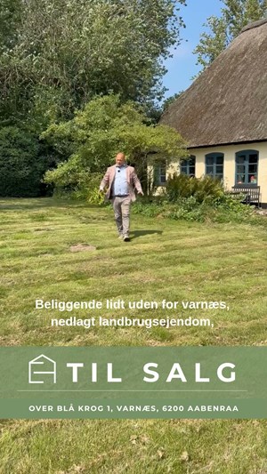opslagsbillede