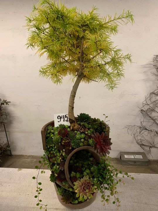 Opslagstavlen: Nyeste opdateringer fra Brønderslev