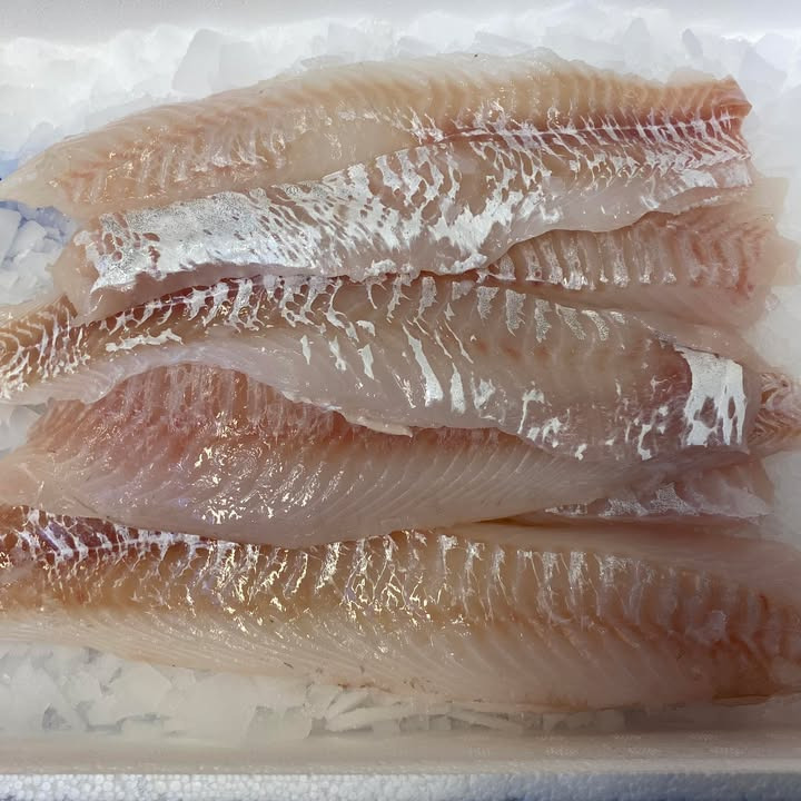 Nye friske priser og ugens fisk hos Hanstholm Auction Buyer