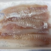 Hanstholm Auction Buyer tilbyder ugens fisk: torsk til 119 kr med gratis levering i udvalgte områder