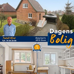 Opslagsbillede