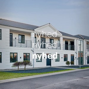 Opslagsbillede