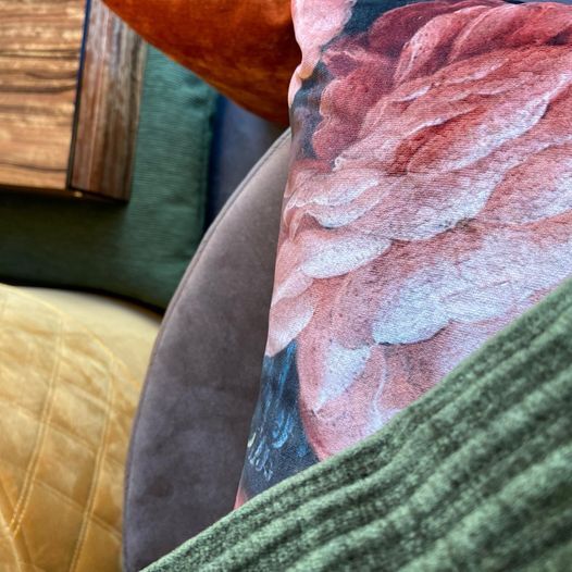 Seneste nyt: tophistorier på sociale medier i Vejle