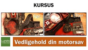 Lær at mestre motorsaven i Vedbæk Skov og Park