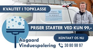 Aagaard Vinduespolering fejrer et godt første år med at tilbyde flere ydelser fremover