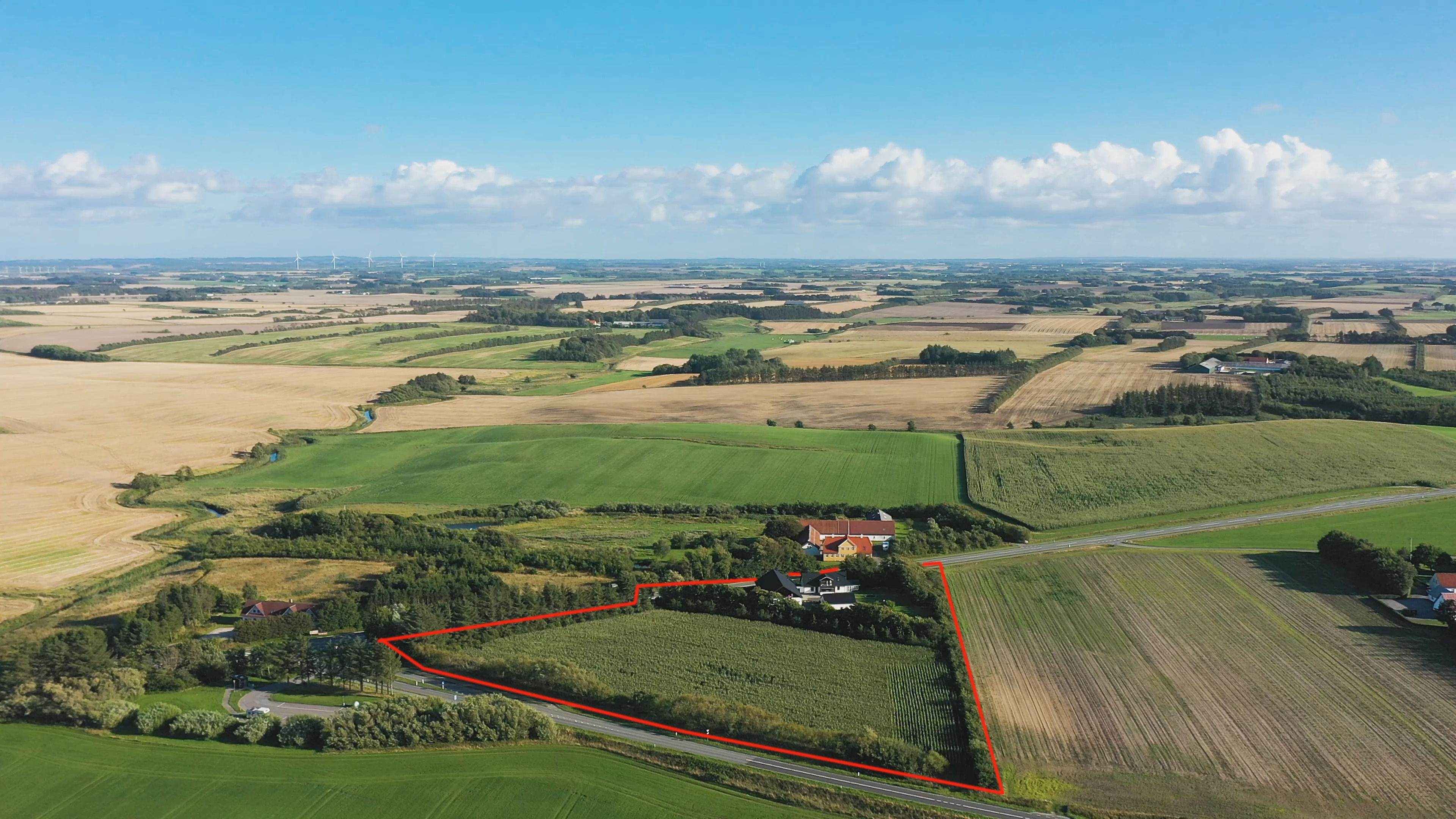 Det nyeste på Hjørrings opslagstavle