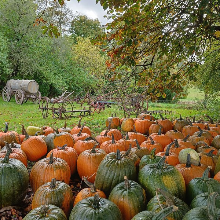 Nyt på opslagstavlen i Hjørring