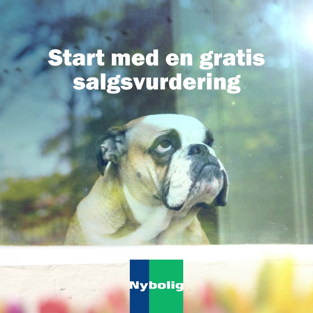 Hold dig ajour med dagens opdateringer fra Nordborg