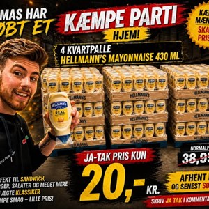 Opslagsbillede