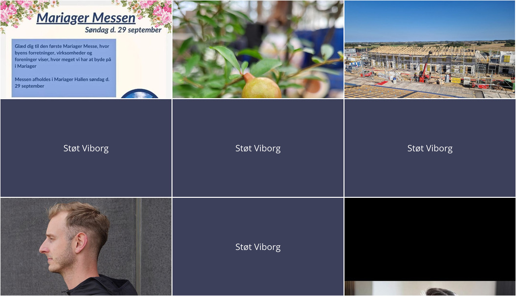 Nyt fra B. G. MONTAGE ApS, Smykkedesigner Helga Winther, SPORTIGAN VIBORG ApS og 2 andre