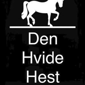 Opslagsbillede