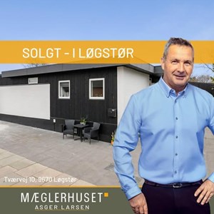 opslagsbillede