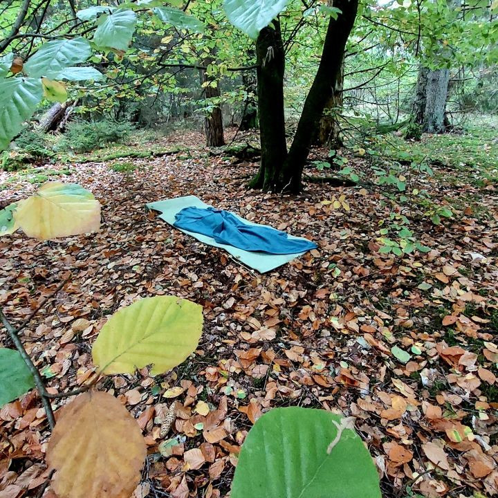 Det nyeste på Hammels opslagstavle