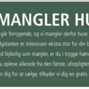 Opslagsbillede