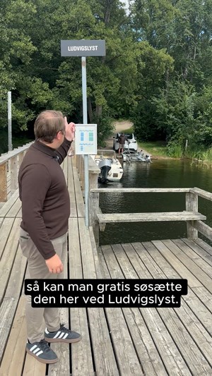 opslagsbillede