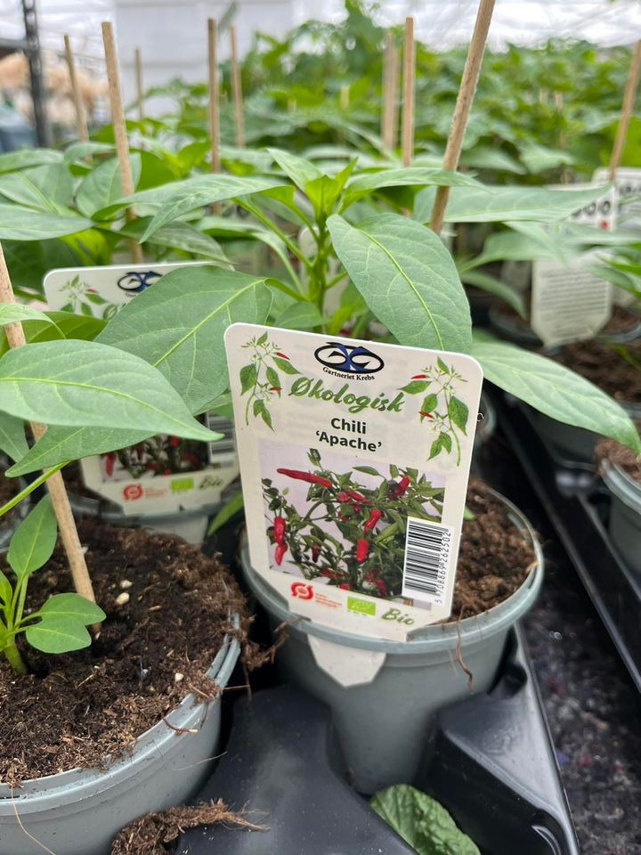 Se dagens updates fra Hedensted her