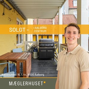 Opslagsbillede