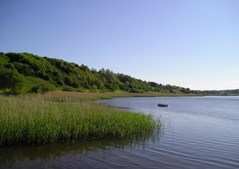 Hjarbæk Fjord er fortsat under pres som attraktivt naturområde