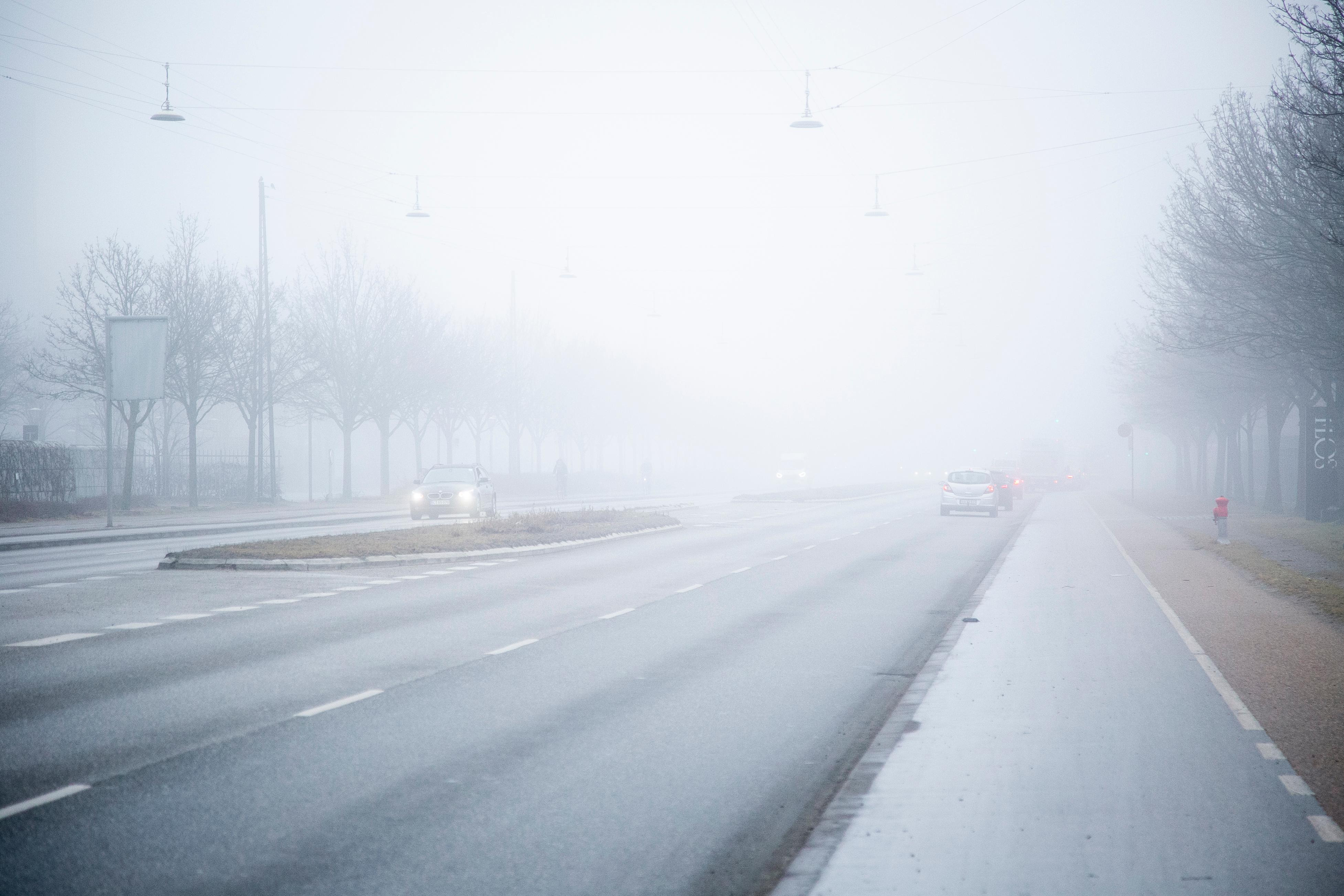Det nyeste på Løgstørs opslagstavle