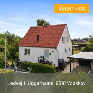 Opslagsbillede