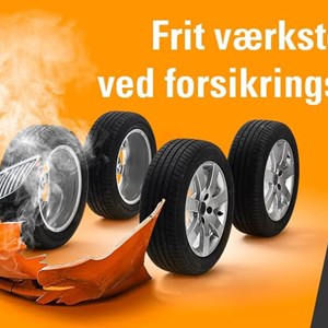 Opslagsbillede
